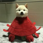 [드루와] 자주 하는 <b>망상</b> 같은 거 있어?