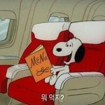 [드루와] 한<b>스키</b>친 가그싶다