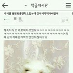 하복 너무 평범해서 입기싫어