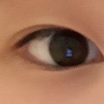 내눈 몽고<b>주름</b>