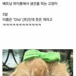 [댓글부탁해] 쌍커<b>풀</b> 수술한지 3달됐는데 짜증나