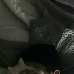 [댓글부탁해] <b>장용준</b> 덮치고싶음