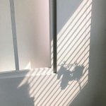 [드루와] ++)우리같은 집 있냐.. <b>자매들</b> 개오짐