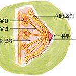 [19] 근데 <b>a</b><b>컵</b>이 원래 이렇게 작음?