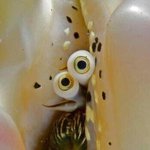 [댓글부탁해] 빈지노의 창자 빈지노의 대장