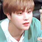 [아이콘] 진환이 <b>사막여우</b>