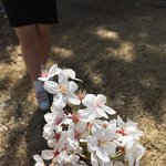 [댓글부탁해] 너네들은 뭘 해야 <b>행복</b>해? 제발 알려줘