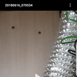 [조언부탁] 지금 지금 <b>환풍구</b>에 새가있어요 도어ㅏ주세요