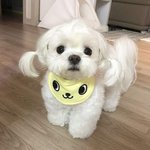 [댓글부탁해] 이 오빠랑 연락 계속해도 될까요?