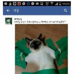 [댓글부탁해] 웃음<b>지뢰</b>짤 올린다