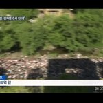 [댓글부탁해] 코피노가 얼마나 심각한문제인지 조금이나마 체감하게해주지