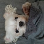 [댓글부탁해] 근데 인스 발주하는거 !!!