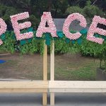 [6월 호국보훈의 달]  서울 <b>자원</b>봉사활동, 나라사랑 평화나눔의...