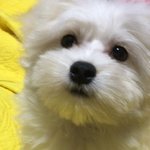 시험 2주 반 남았는데 지금 공부해도 ㄱㅊ을까