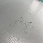 [19] 털 제모