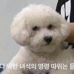 내친구 <b>사쿠라</b>뭐시기 좋아하는데