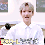 [백현] 마이콘 인터뷰 백현 <b>gif</b> 2