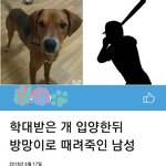 [<b>참여</b>부탁해] 얘들아 제발 판의 힘이 필요해 한번만 들어와줘