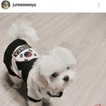 [모두드루와] 구준회 강아지