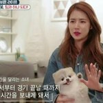 [댓글부탁해] <b>홍원</b>이가 누나라고 불러주면 좋겠다