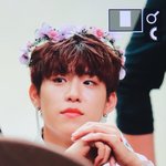 [박우진] 여기 뭐하는곳이죠? <b>식물원</b>인가?