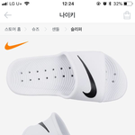 슬리퍼 추반좀