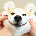 와 ㅈㄴ 무서운 꿈 꿨다 진짜