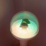 [세븐틴] ㅅㄷ 나도 <b>캐럿</b>봉 꾸며써