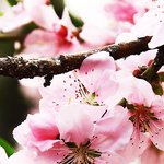 [드루와] 여자애들아 제발 쌍수후기 좀 <b>작작</b>써