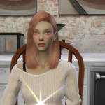 [심즈4] 심 평가 <b>부탁</b>드려여ㅠㅠ 처음이라서 <b>양해부탁</b>드려요