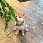 낮에 뜨는 달 재<b>연재</b>야???!