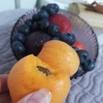 과일<b>존</b><b>맛</b>