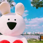 [댓글부탁해] 콘서트 <b>솔플</b> 많이위험해???