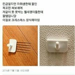 나 관심받고 싶어서 <b>자해</b>함