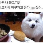 [드루와] 성적 몇등까지 올리기 가능해?