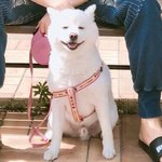 너희 <b>동네</b> 사진관도 이러냐