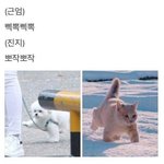 [댓글부탁해] <b>미방</b>) 페메내용보기에 얘 어떤것같음?