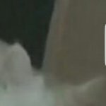 [댓글부탁해] <b>내남</b>친집 고양이 평가좀