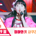 [드루와] [프듀48] 사쿠라로 <b>안구</b>정화 하고 가실게요~~~