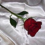 [댓글부탁해] 2000년생이랑 1997년생이랑 <b>샤</b>귀는거 어때