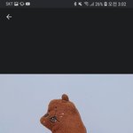 애들아 <b>필통</b> 좀 골라줘