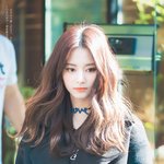 모모 탑시드 홈마가 찍은 쯔위