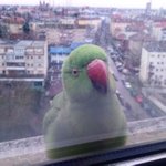 거 <b>창문</b> 좀 열어보시게