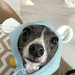 [위너] <b>톡선</b>에 위너글 2개있당