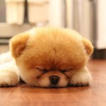 잘<b>자요</b>