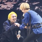 [위너] 골든<b>송</b>트리버