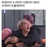 [방탄소년단] 타팬인데
