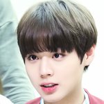 박지훈 앞머리 <b>일자</b>로 자른거잇자낰ㅋㅋㅋㅋㅋㅋ