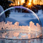 아름다움을 담은 <b>비누</b>방울