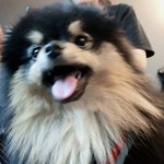 [<b>방</b>탄공카방] 태태야 걱정마(스포<b>주의</b>)